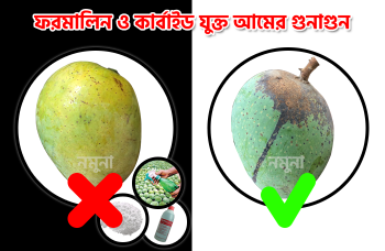 আম-কেমিক্যাল