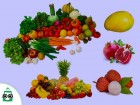 Fruits & Vegetables